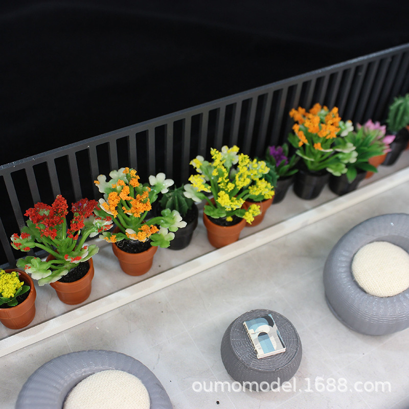 Mini-Simulationspflanzen, Kakt – Echeveria Succulent Bewertung und Preis