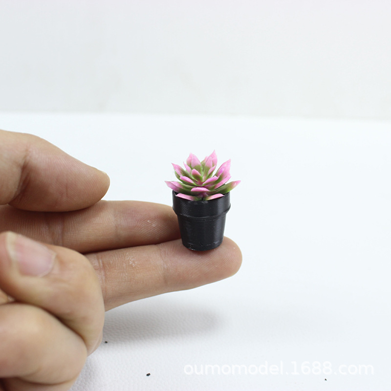 Mini-Simulationspflanzen, Kakt – Echeveria Succulent Bewertung und Preis