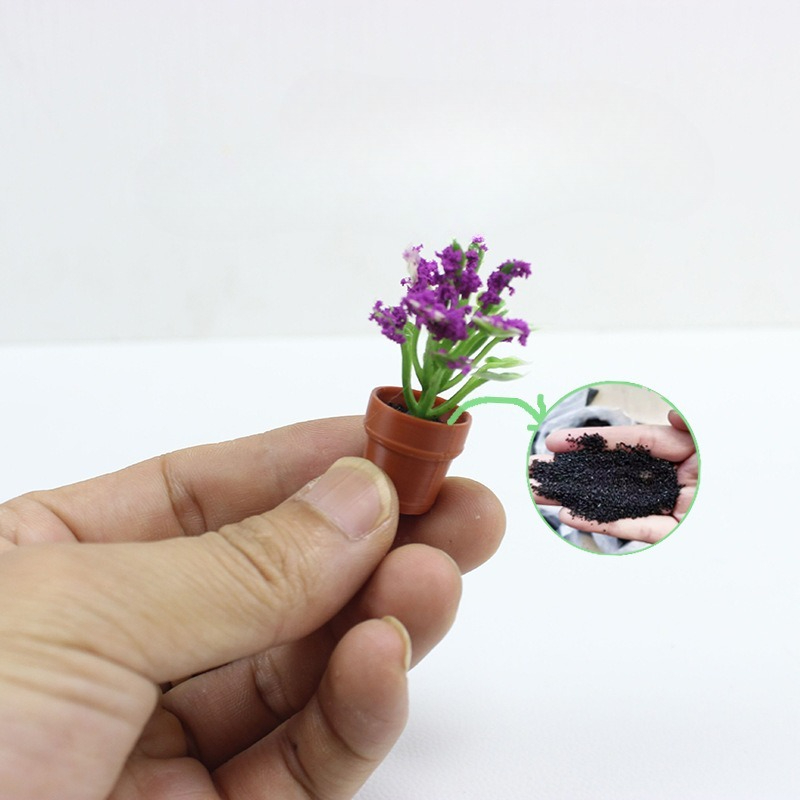 Mini-Simulationspflanzen, Kakt – Echeveria Succulent Bewertung und Preis