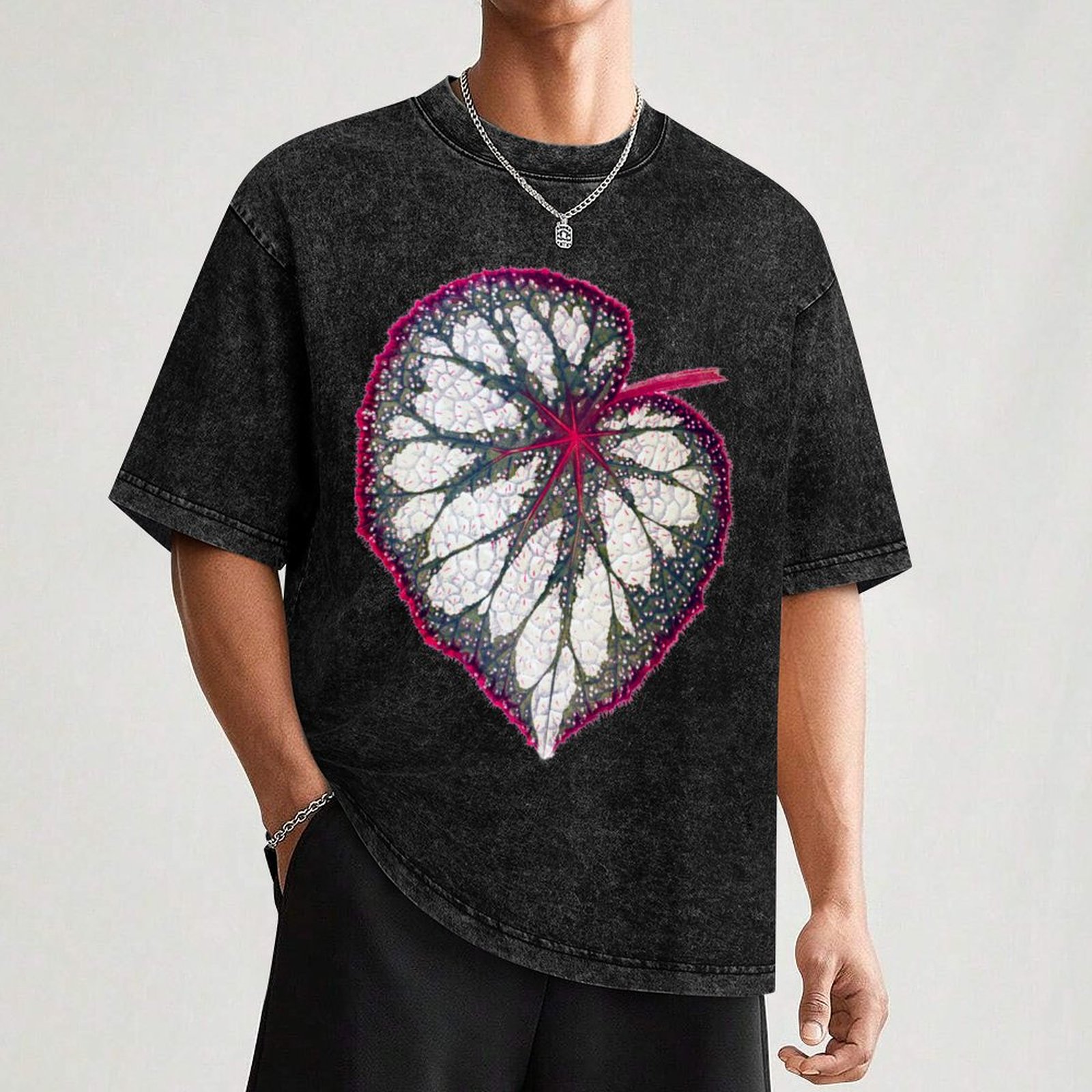 Begonia rex T-Shirt Einfaches  – Begonia Rex Bewertung und Preis