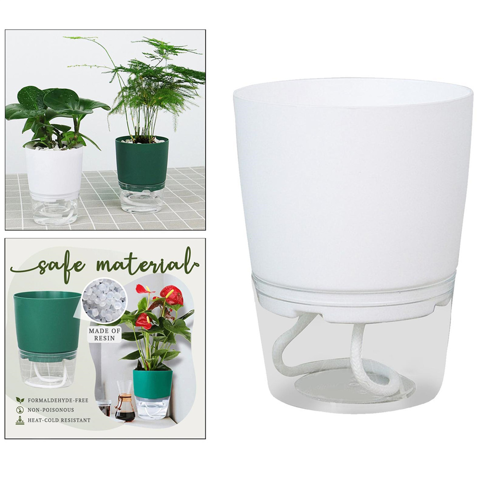 Lazy Hydroponic Blumentopf, au – Aloe Vera Pot Bewertung und Preis