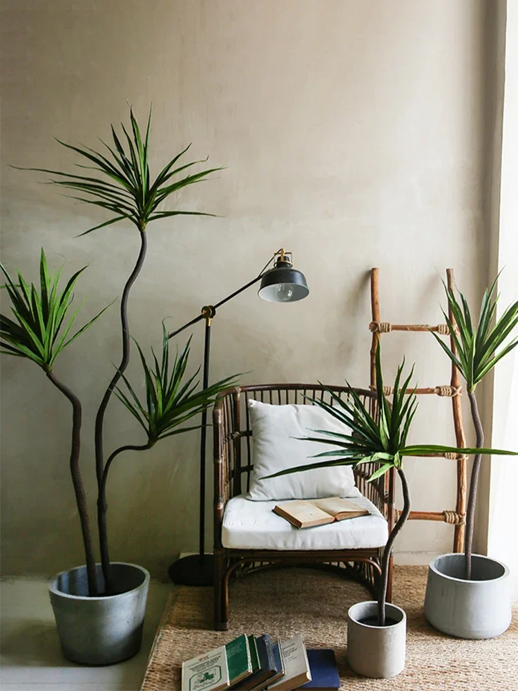 Simulationsanlage Dracaena Mar – Dracaena Marginata Bewertung und Preis