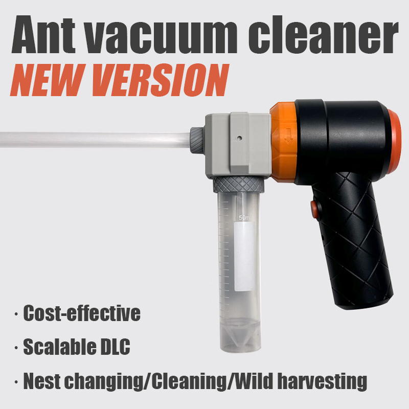 Ant Farm Collection Tool Ameis – Begonia Rex Bewertung und Preis