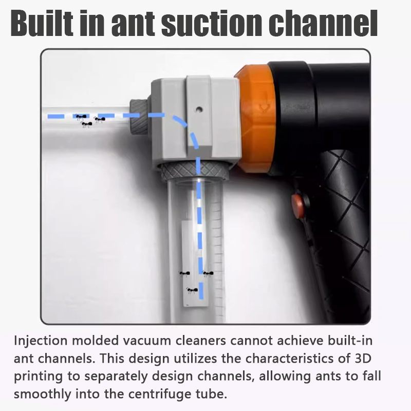 Ant Farm Collection Tool Ameis – Begonia Rex Bewertung und Preis