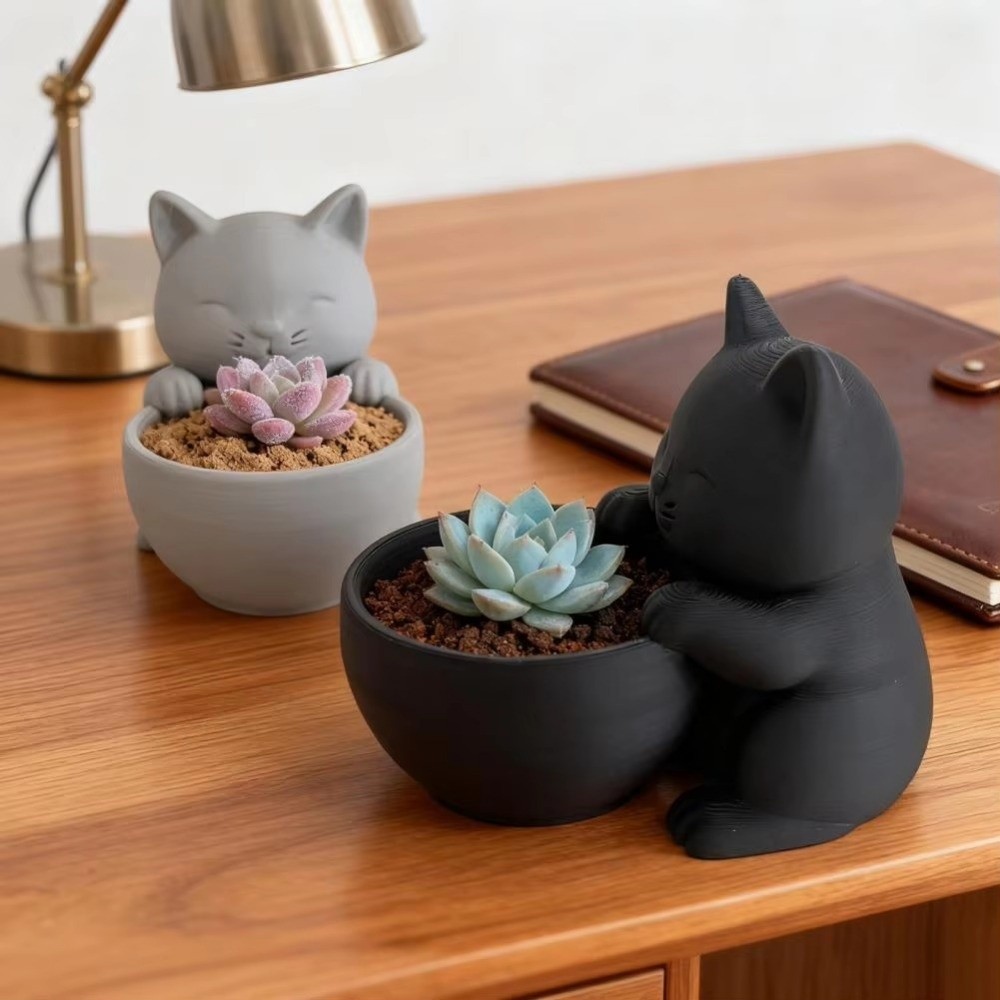 Mini-Blumentopf mit Drainagelö – Echeveria Succulent Bewertung und Preis