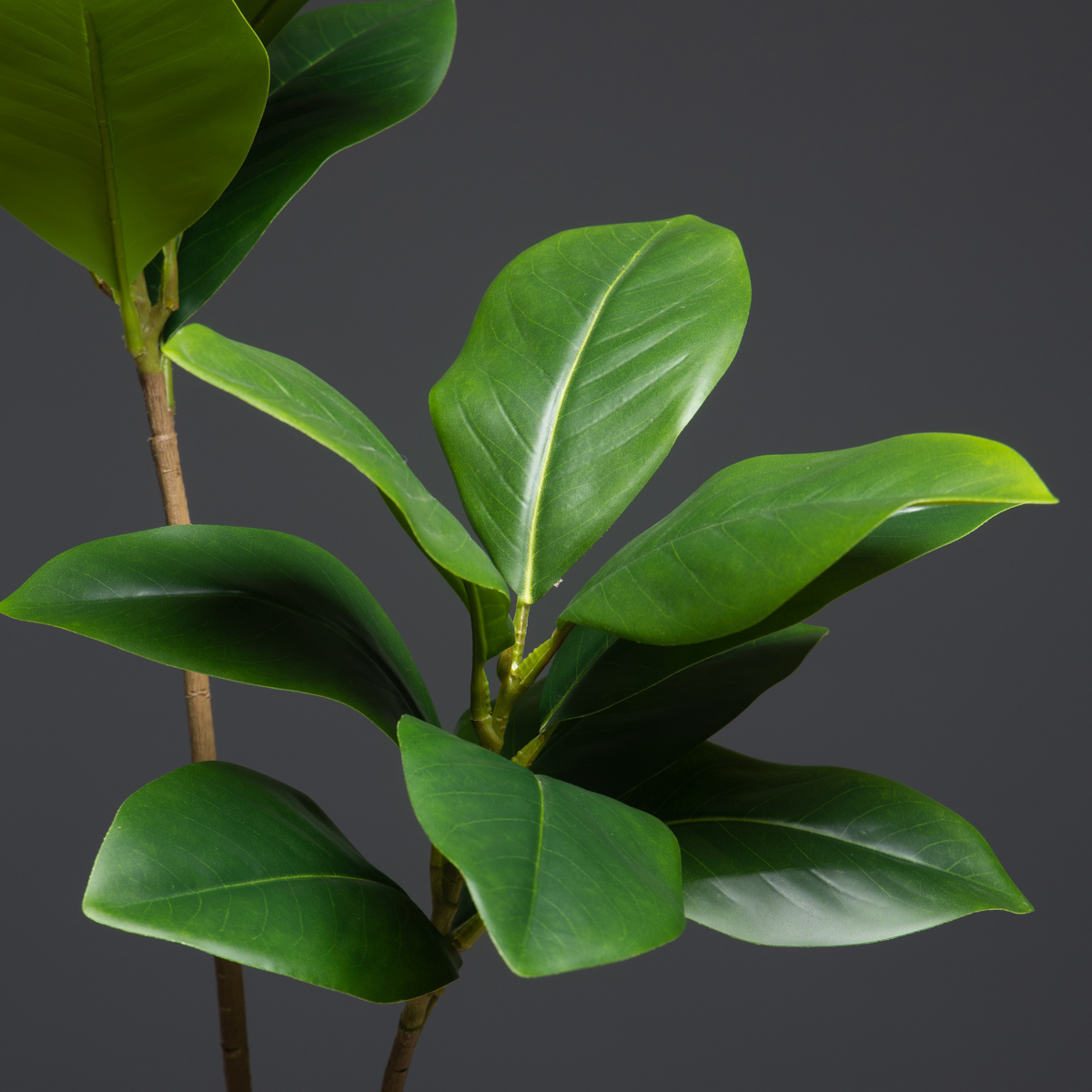 105 cm, 2 Gabeln, große künstl – Dracaena Marginata Bewertung und Preis