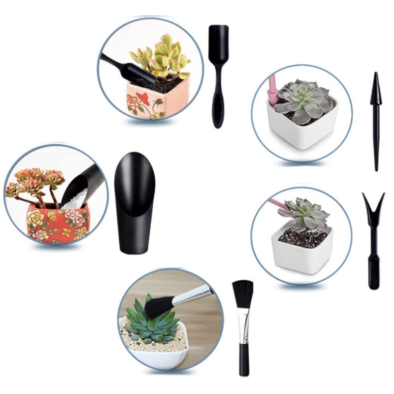 Mini-Gartenwerkzeug-Set, Etike – Echeveria Succulent Bewertung und Preis