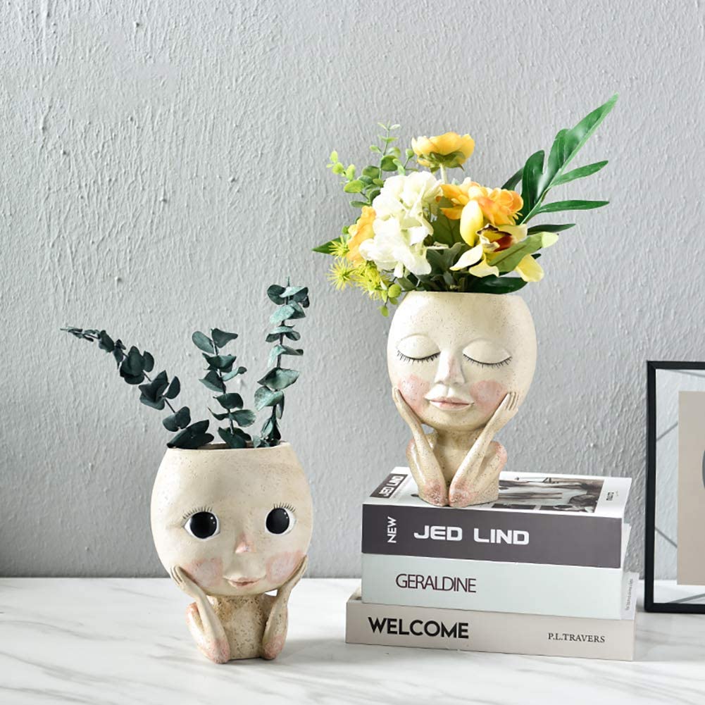 Blumentopf für Mädchen, Gesich – Echeveria Succulent Bewertung und Preis
