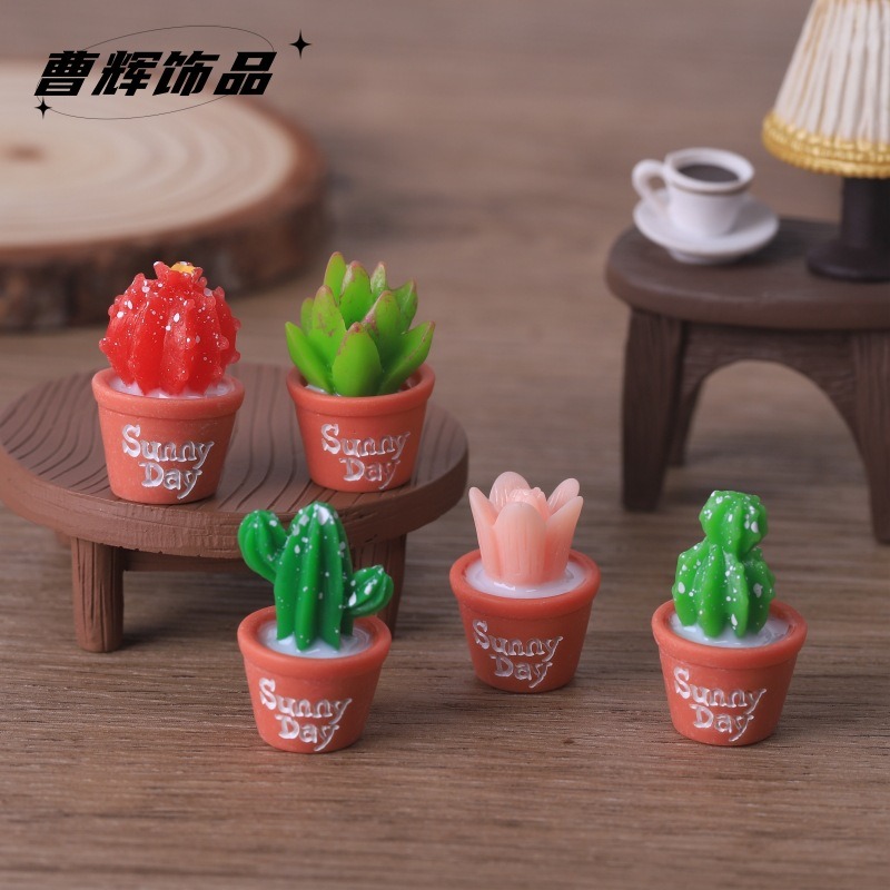 5 stücke Simulation Sukkulente – Echeveria Succulent Bewertung und Preis