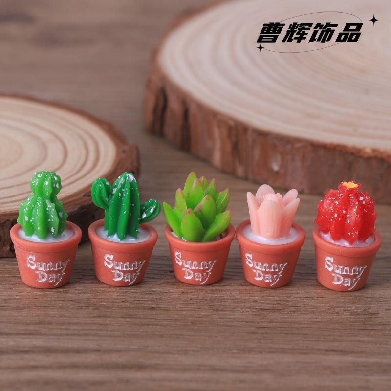 5 stücke Simulation Sukkulente – Echeveria Succulent Bewertung und Preis