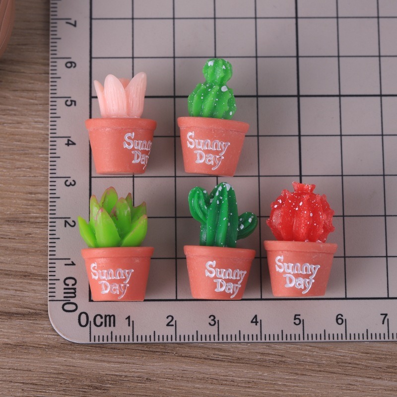 5 stücke Simulation Sukkulente – Echeveria Succulent Bewertung und Preis