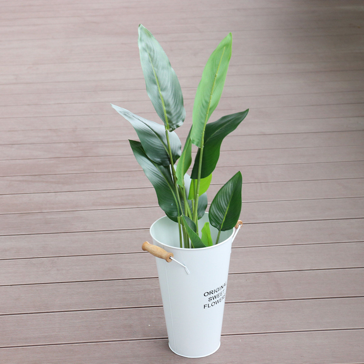Schmiedeeiserner Blumentopf fü – Aloe Vera Pot Bewertung und Preis