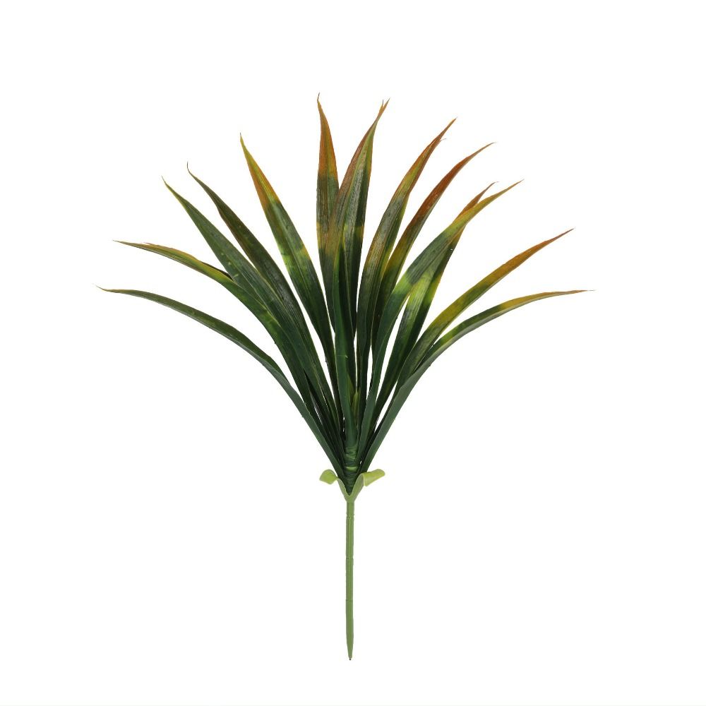 Landschaftsgestaltung 42cm Kün – Spider Plant Hanging Bewertung und Preis